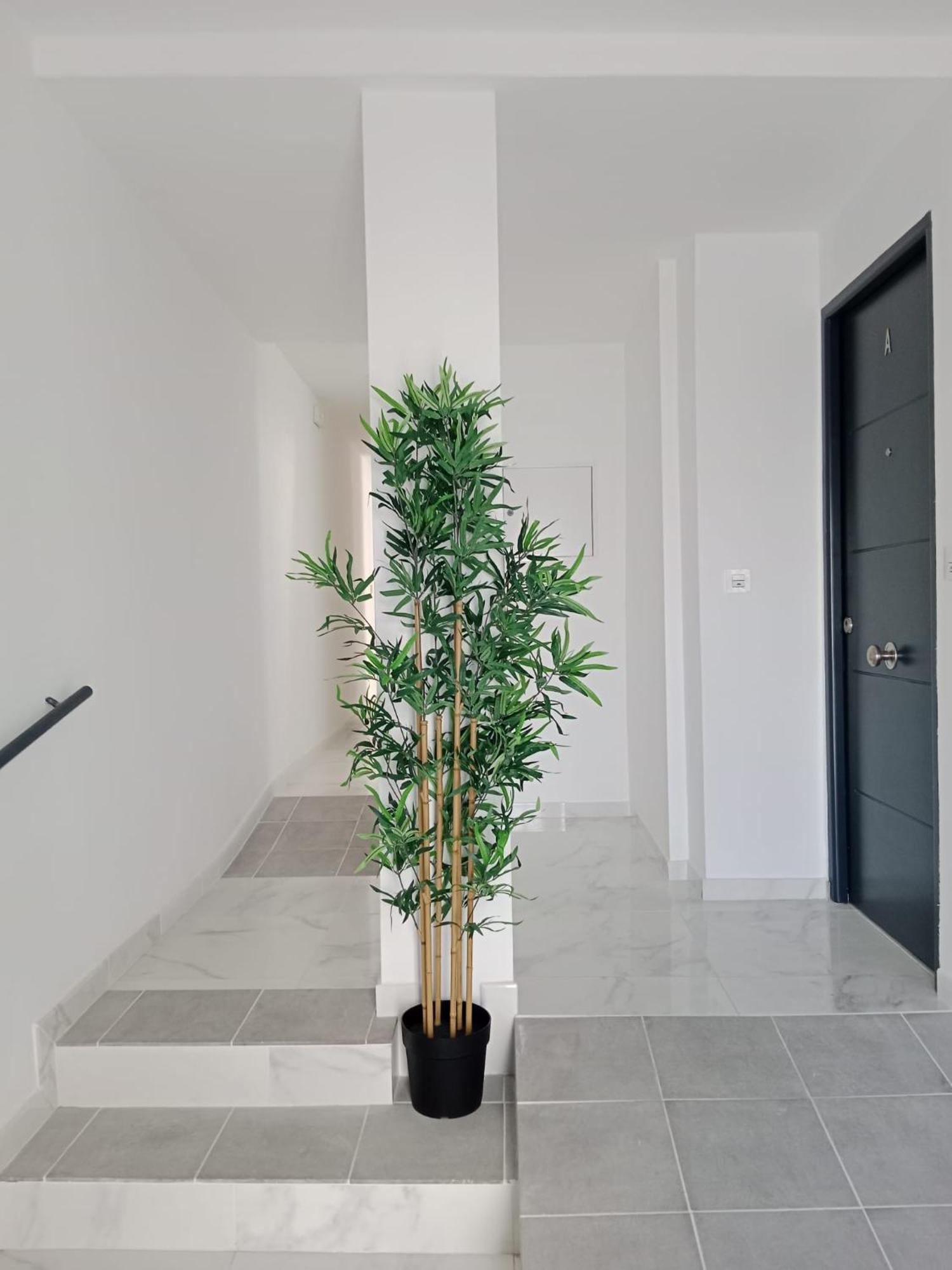 Apartamento Gloria Bendita Jerez de la Frontera Zewnętrze zdjęcie